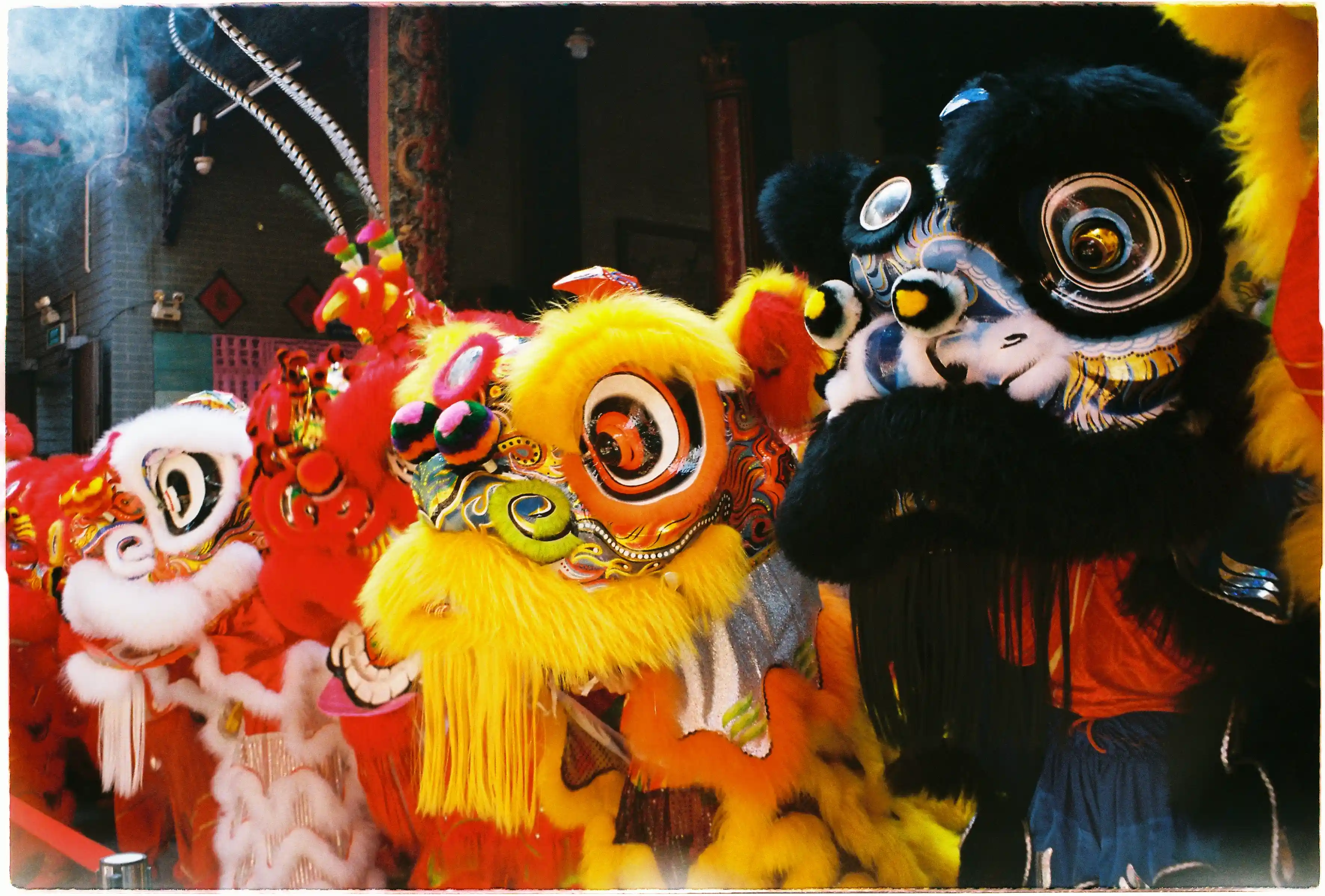 Đội hình Lân sư rồng nhiều màu, ảnh tele zoom sắc nét chụp bởi Canon Autoboy Jet