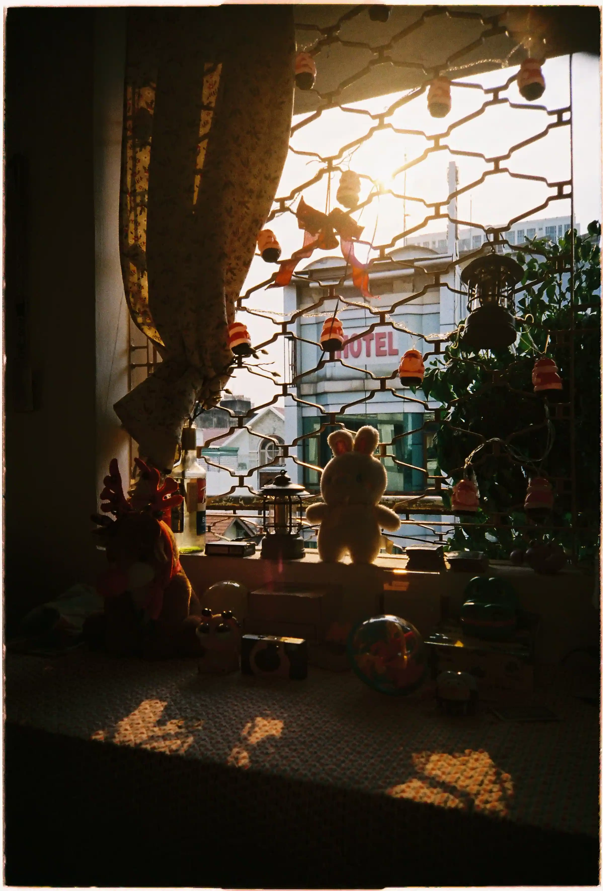 Bóng những chú thỏ bông và đèn lồng bên khung cửa sắt: Ảnh chụp ngược sáng giữ chi tiết tốt bởi Fujifilm Cardia Everyday OP - Fuji 400