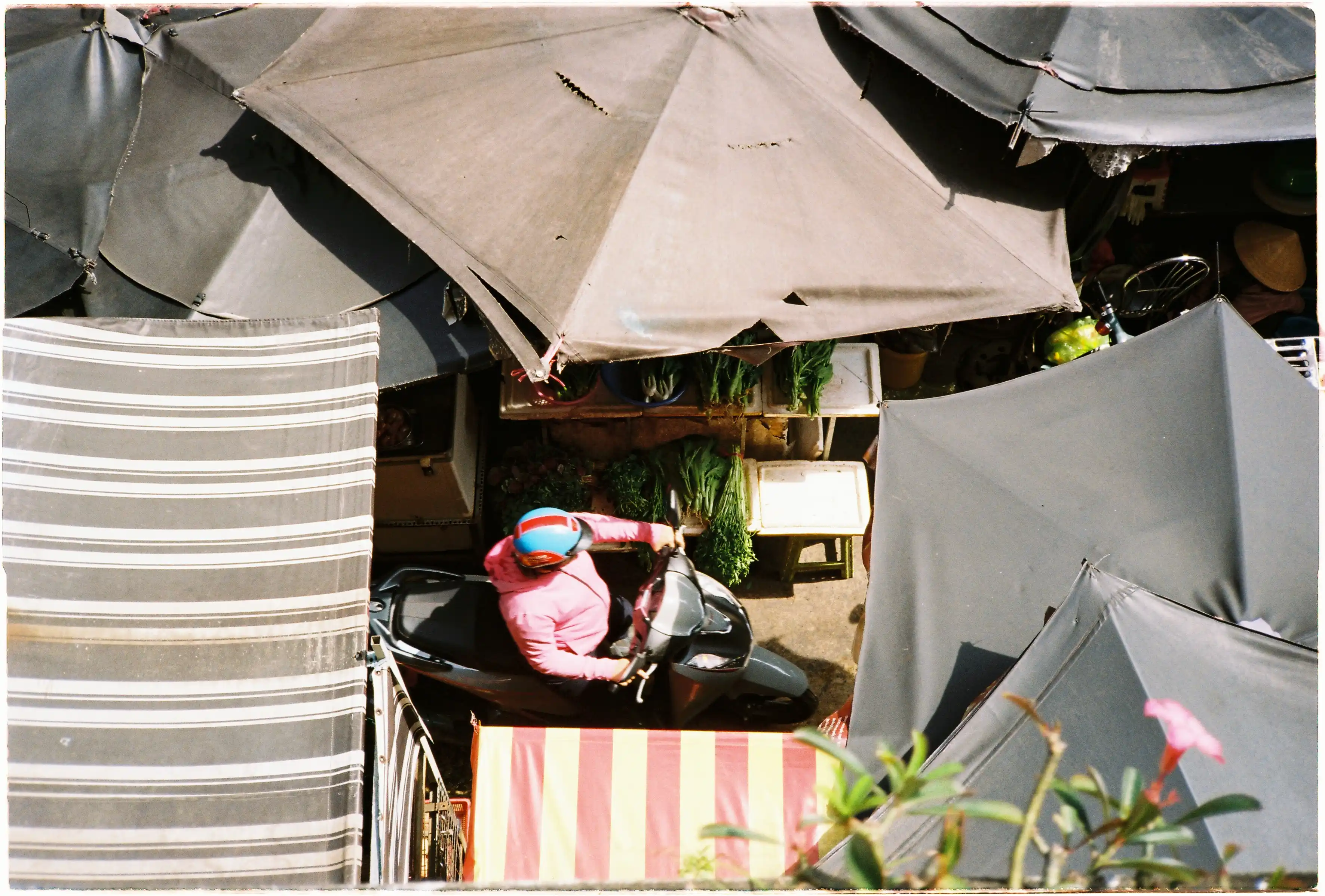 Góc nhìn từ trên cao xuống khu chợ: Canon Autoboy 3 bắt trọn khoảnh khắc người đi xe máy luồn lách giữa những mái che dù bạt - Kodak Gold 200
