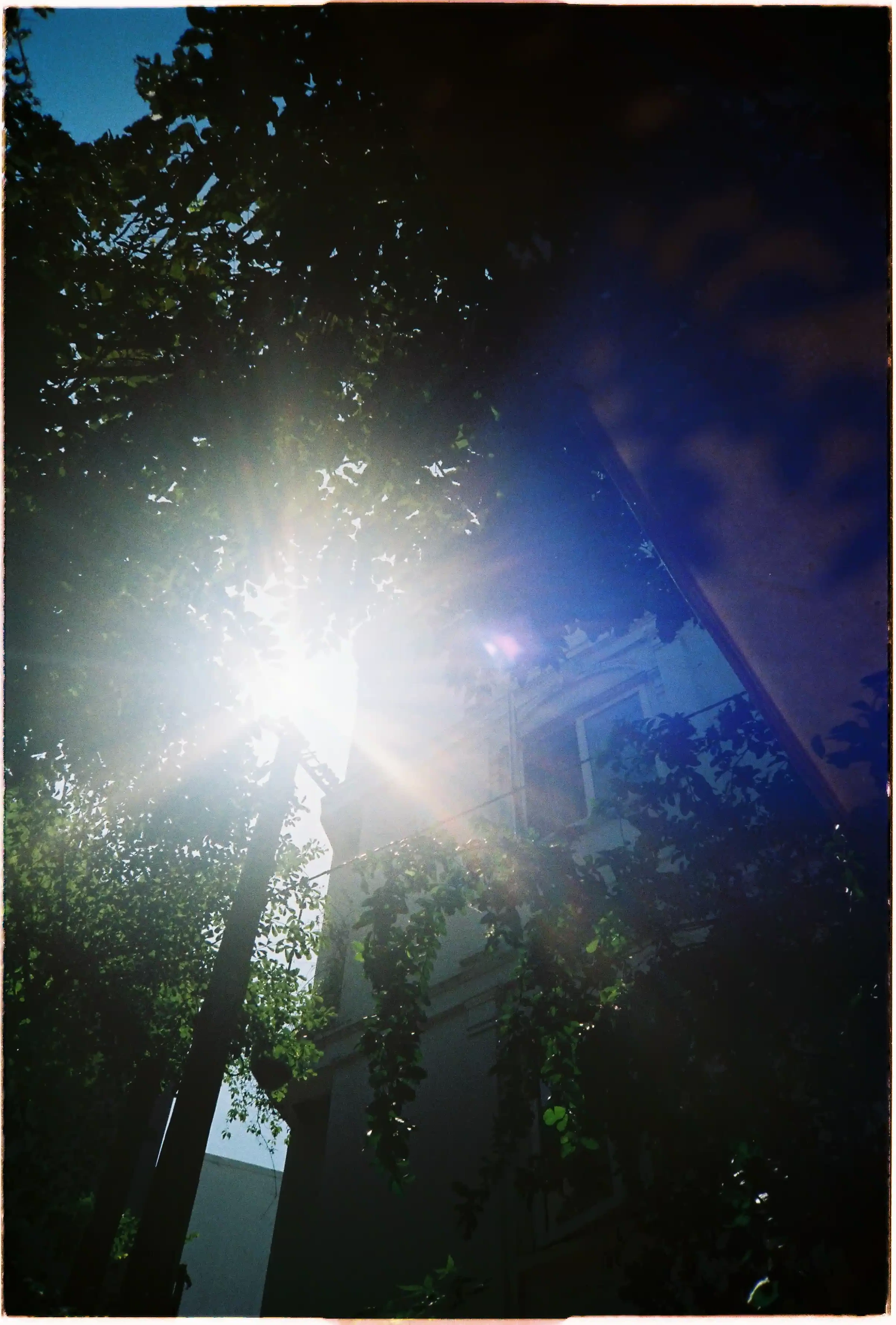 Ảnh ngược sáng có lens flare, độ tương phản cao chụp bởi Fuji Cardia Mini Everyday OP