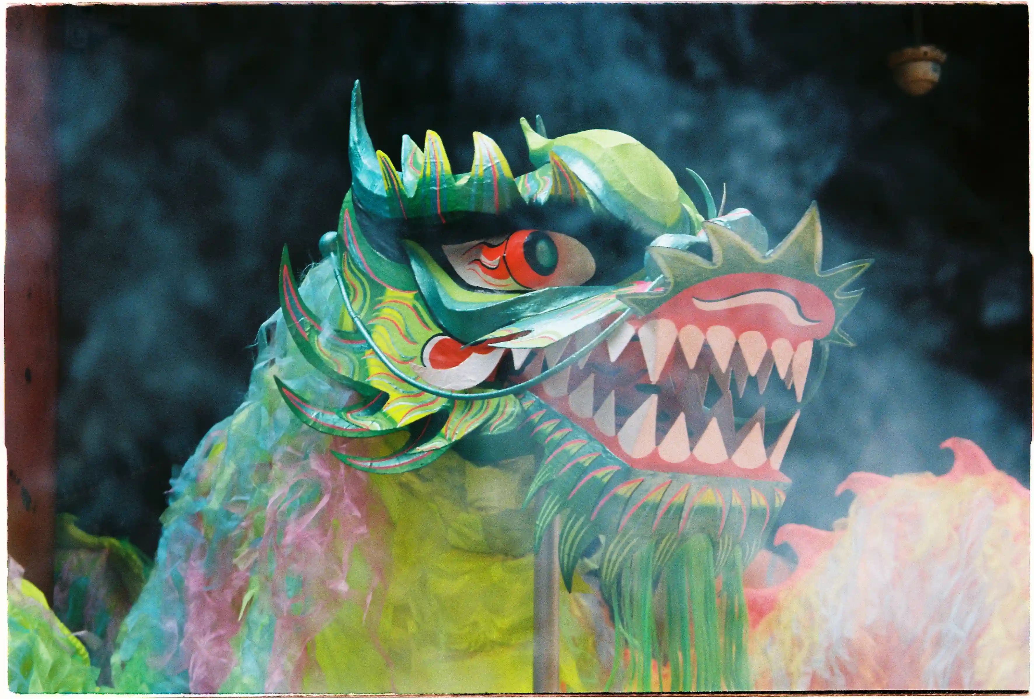 Đầu rồng xanh huyền ảo, ảnh zoom xa sắc nét và tương phản tốt chụp bởi Canon Autoboy Jet