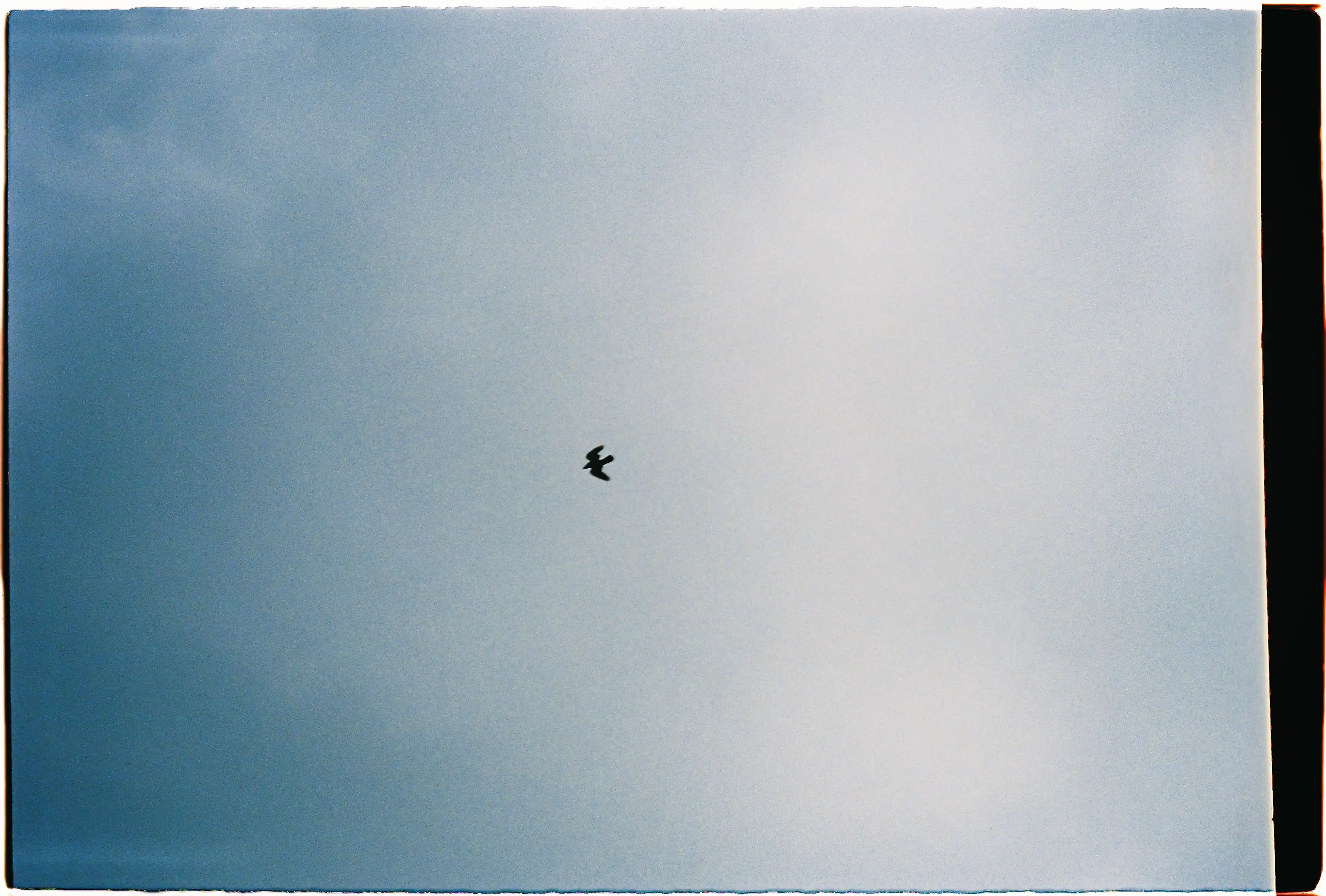 Khả năng đo sáng bầu trời của Nikon L35AD3: Bầu trời lên màu dịu nhẹ, không bị cháy sáng dù chụp ngược lên cao - Fuji 400