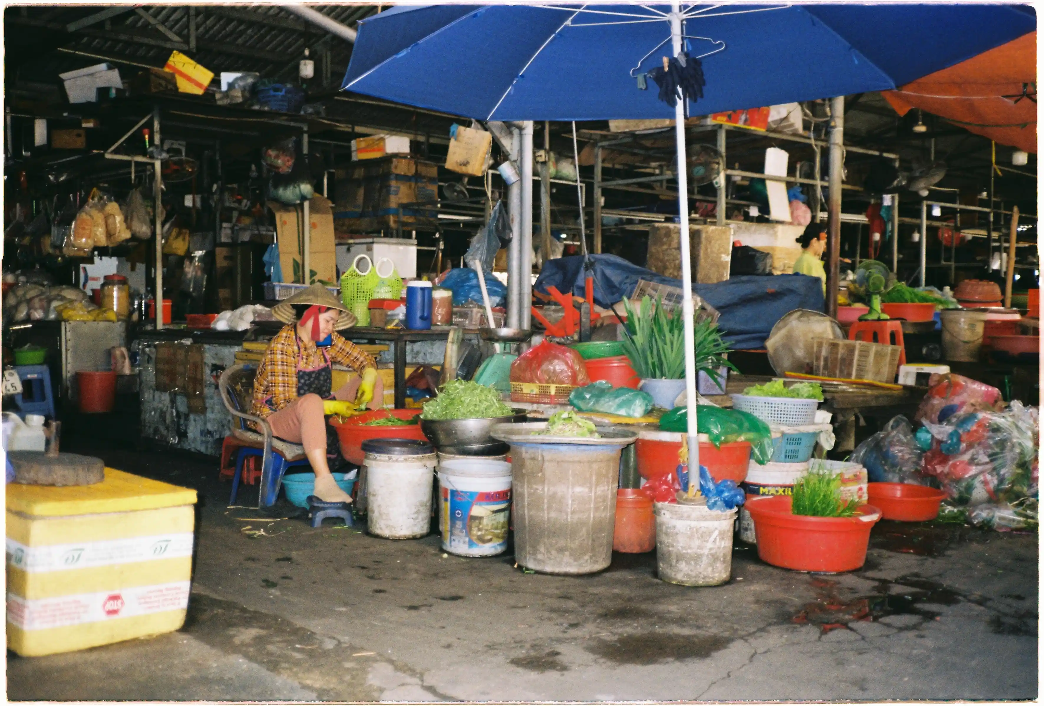 Người phụ nữ đội nón lá giữa các thau chậu nhiều màu: Ảnh chụp flash sắc nét, màu sắc tươi tắn từ máy Canon Autoboy 3 - Kodak Gold 200