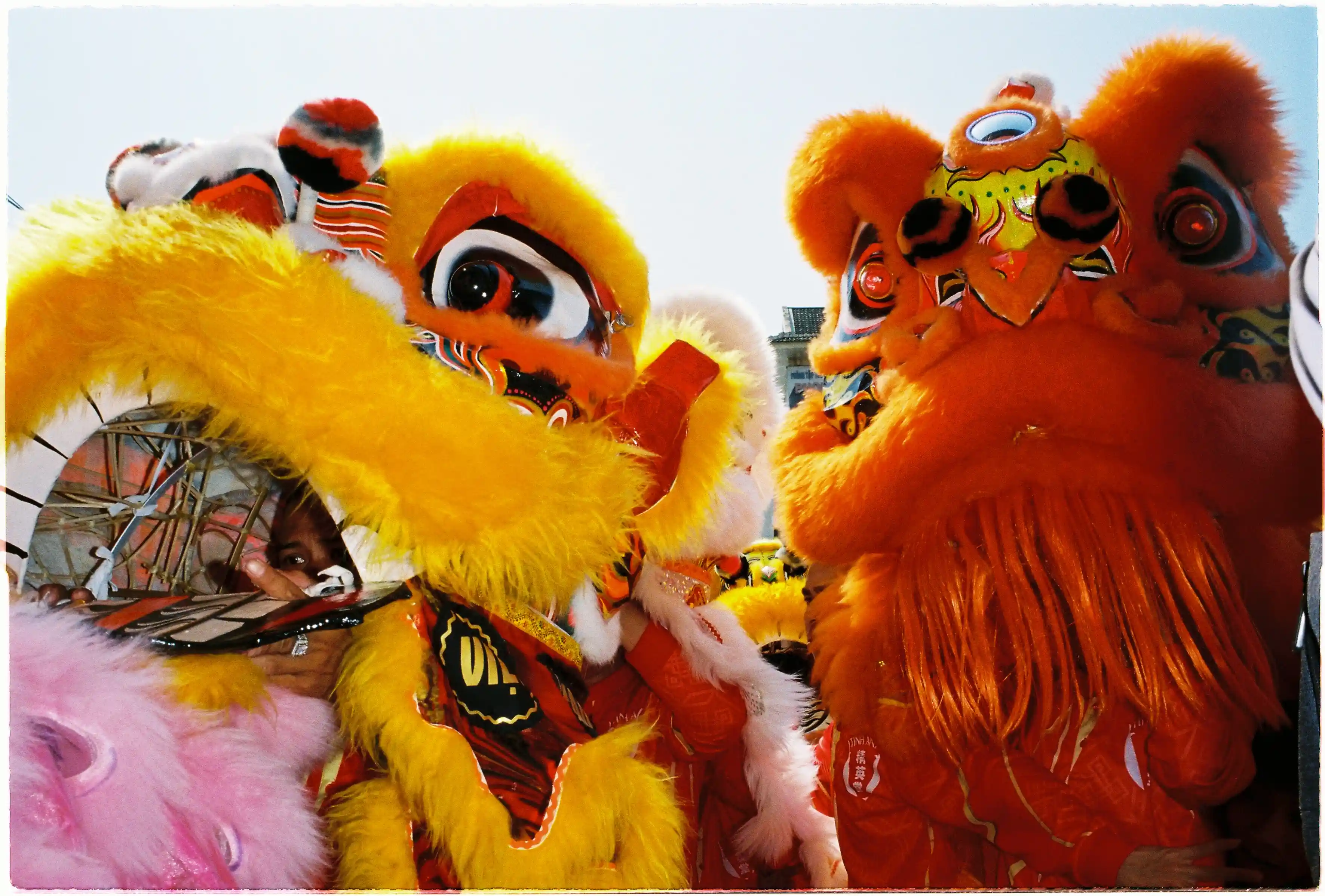 Cận cảnh đầu Lân vàng và cam rực rỡ: Ảnh chụp Fill Flash ban ngày bằng Canon Autoboy Jet giúp loại bỏ bóng tối