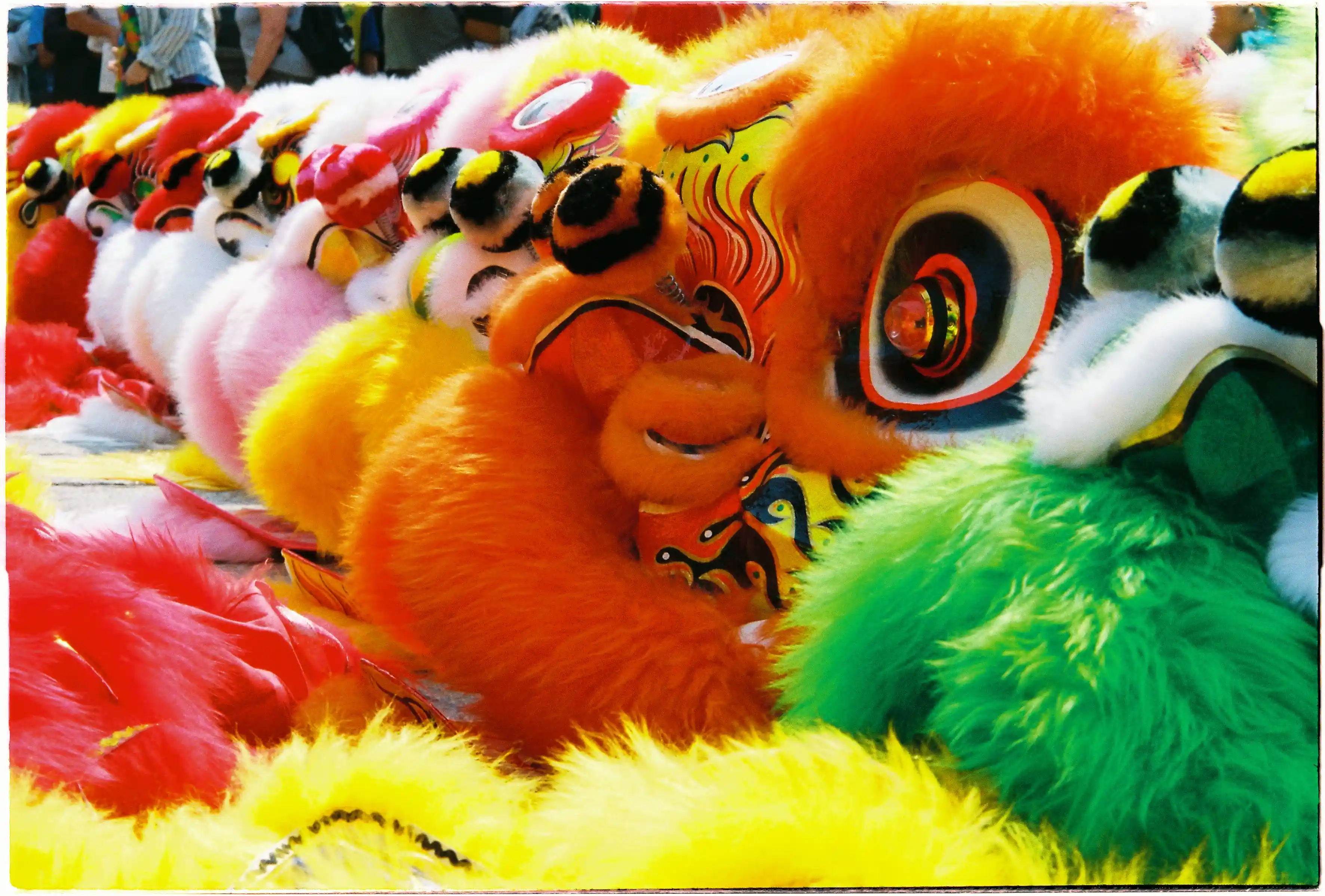 Cận cảnh hàng đầu Lân sư rồng nhiều màu sắc (cam, xanh, vàng): Ảnh rực rỡ độ bão hòa và độ nét cao chụp bởi Canon Autoboy Jet